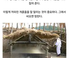 천일염같은 사기가 아닌 진짜 한국 전통 소금 만드는 법