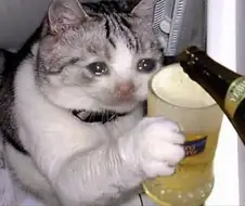 붉은사막 퀘스트 요약