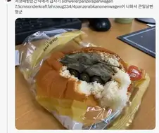 또 또 터진 서코 음식물 이물질 사건