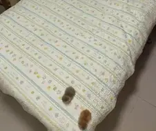 누가 침대에 발자국 남김