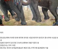 하마터면 세계 1차대전 될뻔한 임진왜란.jpg