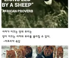 "사자가 이끄는 양의 무리는 양이 이끄는 사자 무리도 이긴다."
