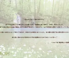 후방) 엘프들의 전통 목욕옷