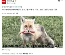 캐나다 바비큐 대규모 절도 충격 용의자