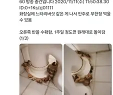 신개념 도시 농업