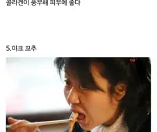 세계의 식용 고추들