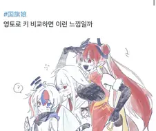 국기 무스메들의 크기
