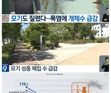 ㅈ같은 한국여행한 동물