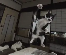 의외로 합성이 아닌 사진