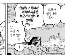원피스)카이도가 루피 좋게는 봤을듯
