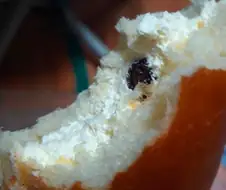 크림빵 호불호