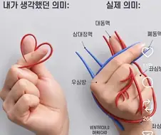 손가락 하트의 진짜 의미