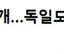 독일도 일본도 호주도 안 도와줬다