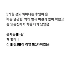 할머니 때문에 군대에서 폐급으로 찍힌 후임