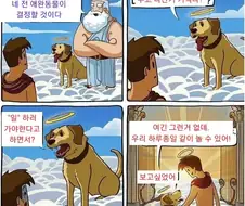 네가 천국에 갈지 안갈지는 네 반려견이 결정할것이다