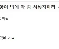 "길고양이 밥에 약 좀 넣지마라 ㅅㅂ"