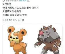 깜지곰의 놀라운 사실
