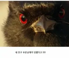 푸른날개가 진다는 건 상상도 할 수 없어