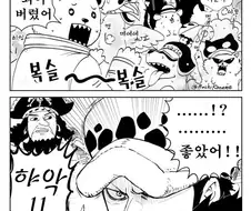 (원피스) 야한 만화 최적화 능력자들이 모인 해적단