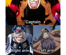 원피스 )선장의 오른팔 왼팔