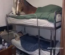 딱봐도 ai네
