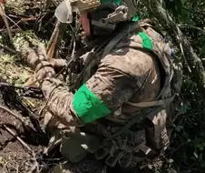 너도 나도 비슷한 위장무늬 쓰니 생긴 현상