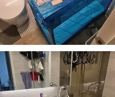 인테리어를 포기하고 실용성을 선택한 견주