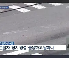경기도 양평에서 고라니 하나가 죽었다는군