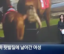 경주마 뒷발질에 날라간 여성