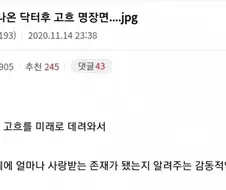 페그오)닥터후 고흐 에피소드 명장면