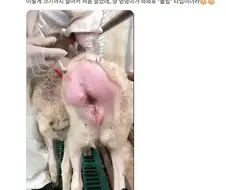 이렇게 클 때까지 처음 알았네