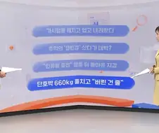 단호박 660키로를 훔친사람들의 무죄를 주장한이유