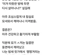 스스로 불러온 재앙.jpg