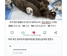 전라도에서 구조됐다는 미국 독수리