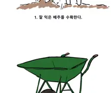 (원신) 배추로 김장하면 어떻게 되는지 알고있음?