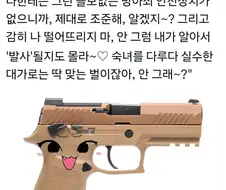 메스가키 SIG P320