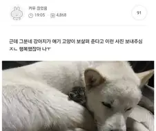 당근으로 임보자 구한 웃대인