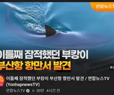 뭐야 부캉이 다시 나타났네