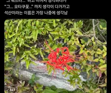 오타쿠꽃이라고 불리는 식물.twit