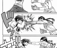 의외로 격투장르에서 마이너한 장르.manga