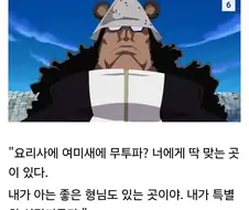 원피스) 쿠마가 상디를 아꼈던 이유