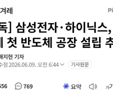 삼전, 하닉 호남에 반도체 공장 건립 추진.jpg