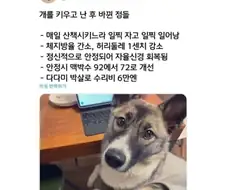 개를 키우고 난 후 바뀐 점들