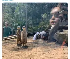 "감사해요. 함께 해왔던 그 모든 순간들."