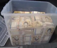 10억 받기 vs 고양이한테