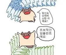 하늘다람쥐랑 싸우면 안되는 이유