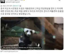 중국의 미국 화해 선물투하