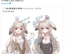 포코피아 창백카츄 한일 차이