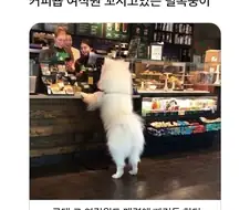 카페에서 여자 알바 꼬시는 법