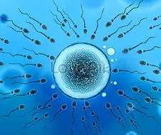 망가에서 왜 꼴린다고 하는지 이해가 안가는 장면